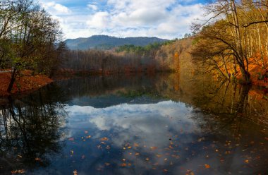 Borcka Karagol is the region where autumn is best experienced / Artvin