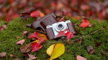 Still life shots with old camera