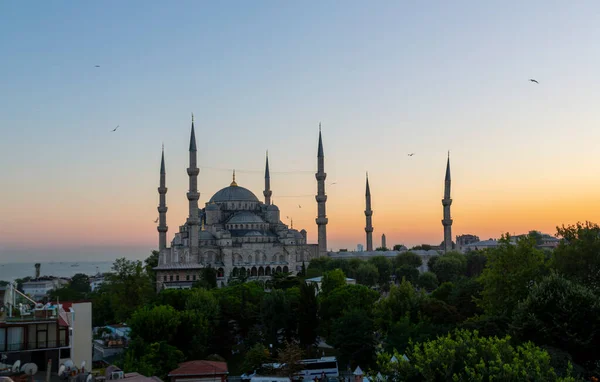 Blue Mosque Istanbul Turkey Sultanahmet Camii — 图库照片