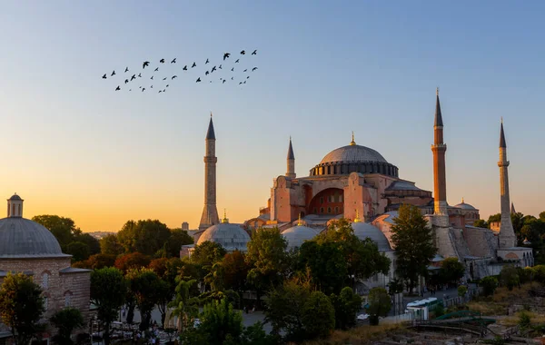 Beautiful View Hagia Sophia Istanbul Turkey Top View Sunset — Stock Photo, Image