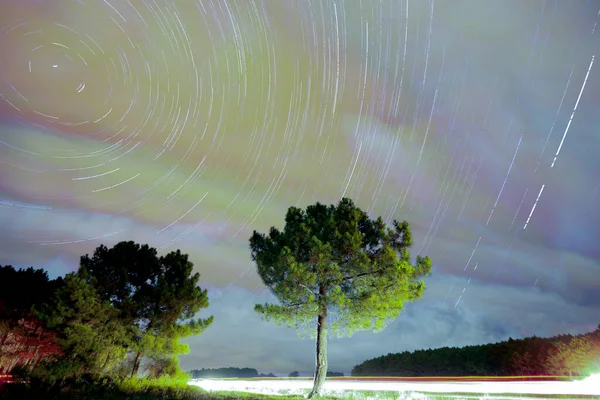 Night swirling star trails and forest