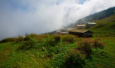 SAL PLATEAU, Rize 'nin Camlihemsin ilçesinde. Kackar Dağları bölgesi. Rize, Türkiye.