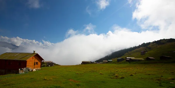 Plateau Sal Distrito Camlihemsin Provincia Rize Región Las Montañas Kackar —  Fotos de Stock