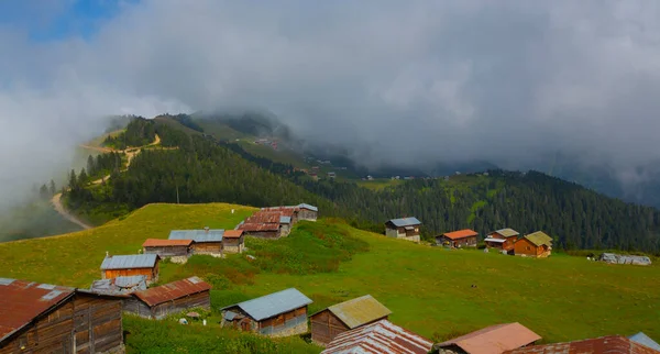 SAL PLATEAU, Rize 'nin Camlihemsin ilçesinde. Kackar Dağları bölgesi. Rize, Türkiye.