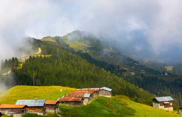 Sal Plateau Bezirk Camlihemsin Der Provinz Rize Kackar Gebirge Rize — Stockfoto