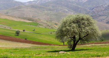 Tunceli'nin Ovack ilçesinden manzara fotoğrafı