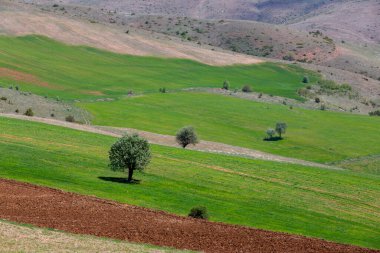 Tunceli'nin Ovack ilçesinden manzara fotoğrafı