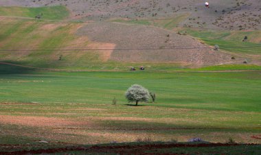 Tunceli'nin Ovack ilçesinden manzara fotoğrafı