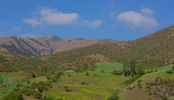 Een Landschapsfoto Uit Het District Ovack Tunceli — Stockfoto