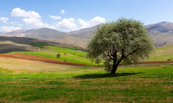 Tunceli'nin Ovack ilçesinden manzara fotoğrafı