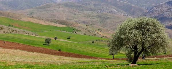 Tunceli'nin Ovack ilçesinden manzara fotoğrafı