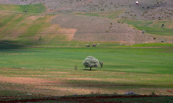 Ein Landschaftsfoto Aus Dem Ovack Distrikt Tunceli — Stockfoto