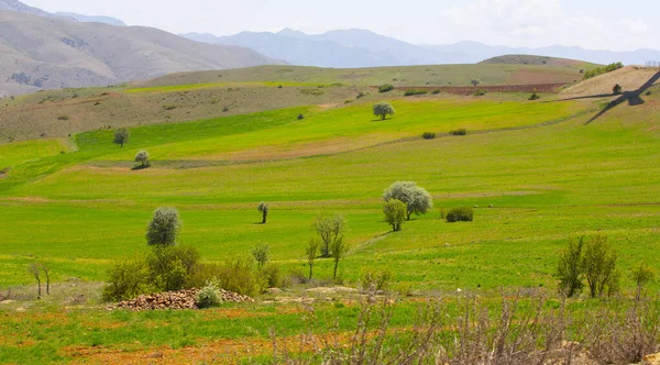 Ein Landschaftsfoto Aus Dem Ovack Distrikt Tunceli — Stockfoto