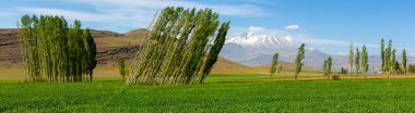 Erciyes Mount with height of 3,864 metres is the highest mountain in Cappadocia and central Anatolia. It is a volcano.