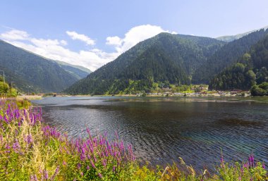 Uzungol Gölü (Uzun Göl) Türkiye 'nin en güzel göllerinden biridir. Burada özellikle gölün genel görünümü