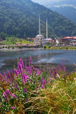 Uzungol Gölü (Uzun Göl) Türkiye 'nin en güzel göllerinden biridir. Burada özellikle gölün genel görünümü