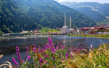 Uzungol Gölü (Uzun Göl) Türkiye 'nin en güzel göllerinden biridir. Burada özellikle gölün genel görünümü