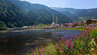 Uzungol Gölü (Uzun Göl) Türkiye 'nin en güzel göllerinden biridir. Burada özellikle gölün genel görünümü