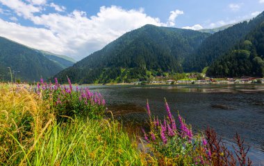 Uzungol Gölü (Uzun Göl) Türkiye 'nin en güzel göllerinden biridir. Burada özellikle gölün genel görünümü