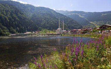 Uzungol Gölü (Uzun Göl) Türkiye 'nin en güzel göllerinden biridir. Burada özellikle gölün genel görünümü