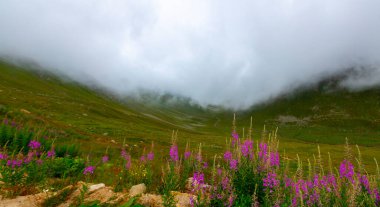 Karadeniz, Rize Amlakit yaylası Türkiye, View