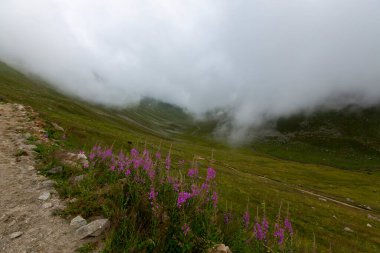 Karadeniz, Rize Amlakit yaylası Türkiye, View