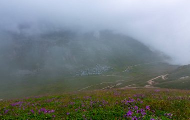 Karadeniz, Rize Amlakit yaylası Türkiye, View
