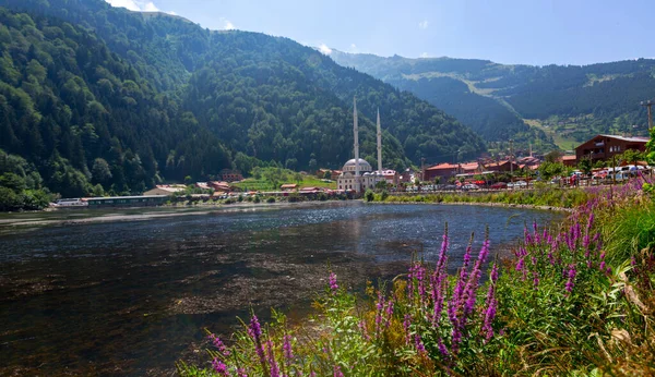 Lago Uzungol Long Lake Uno Los Lagos Más Bellos Turquía — Foto de Stock