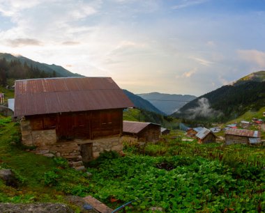 Karadeniz, Rize Amlakit yaylası Türkiye, View