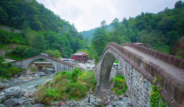 Ιστορική Ortacalar Διπλές Γέφυρες Υπέροχη Θέα Στη Μέση Του Πράσινου — Φωτογραφία Αρχείου