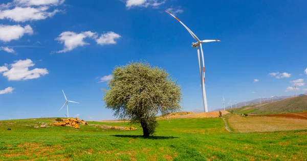 Electric Windmills Beautiful Landscape — Stock Photo, Image