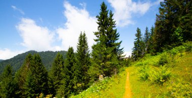 Rize camlhemsin Hazindak Platosu, Kakar Dağları Ulusal Parkı