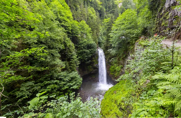 Flusso Cascata Che Scorre Potente Cascata Palovit Kackarlar Provincia Rize — Foto Stock