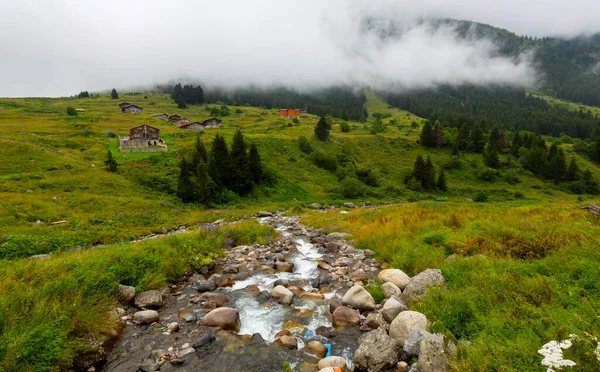 Höhenplateau Rize Dieses Plateau Liegt Bezirk Camlihemsin Der Provinz Rize — Stockfoto