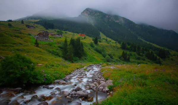 Höhenplateau Rize Dieses Plateau Liegt Bezirk Camlihemsin Der Provinz Rize — Stockfoto