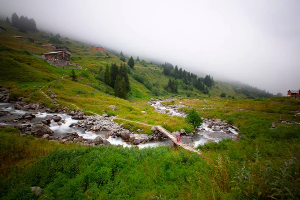 Plateau Elevit Rize Esta Meseta Encuentra Distrito Camlihemsin Provincia Rize —  Fotos de Stock