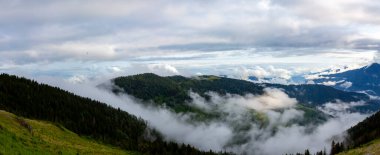 Vercenik ve Kackarlar, Rize ilinin Amlhemin ilçesinde, Tahpur Platosu 'nun 2995 metre yüksekliğindeki bir platodur..