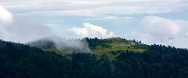 Vercenik ve Kackarlar, Rize ilinin Amlhemin ilçesinde, Tahpur Platosu 'nun 2995 metre yüksekliğindeki bir platodur..