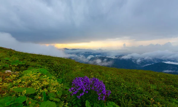 Jezioro Górach Krajobraz Naturalny Zielone Łąki Śnieżne Góry Błękitne Niebo — Zdjęcie stockowe