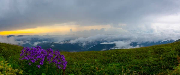Ein See Den Bergen Naturlandschaft Grüne Wiesen Verschneite Berge Blauer — Stockfoto