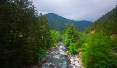 Eski tarihi taş köprüler / Rize - Kakar dağları etekleri