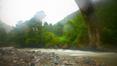 Eski tarihi taş köprüler / Rize - Kakar dağları etekleri