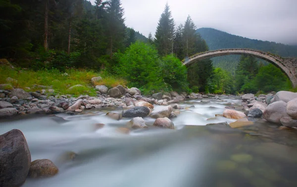Eski tarihi taş köprüler / Rize - Kakar dağları etekleri