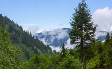 Hakkari, Türkiye, Cilo Dağı, Gökyüzü Bulutları ve Kanyon