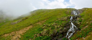 Kackar Dağları Ulusal Parkı (Vercenik Platosu) Rize, Türkiye.