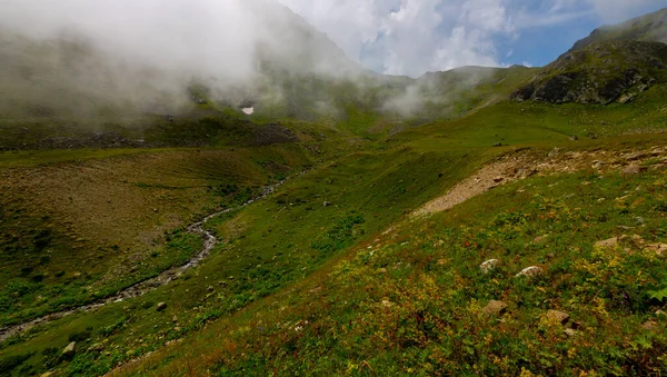 Nationaal Park Kackar Mountains Vercenik Plateau Rize Turkije — Stockfoto