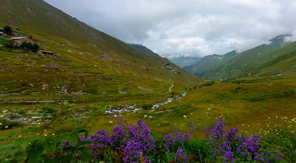 Parque Nacional Las Montañas Kackar Meseta Vercenik Rize Turquía —  Fotos de Stock