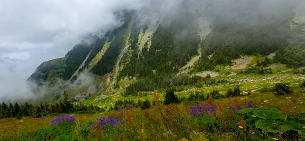 Kackar Berge Höhenlage Plateau Blick Die Meisten Besuchte Region Des — Stockfoto