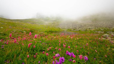 Cilo dağlarına tırmanmak, panoramik manzaralar, Hakkari
