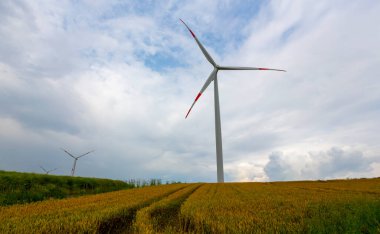 Tarlaların içinde çalışan elektrik yel değirmenleri